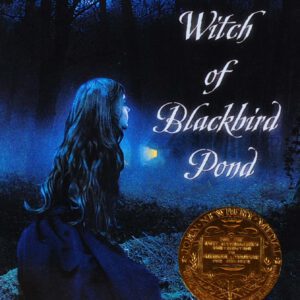 The_Witch_of_Blackbird_Pond.jpg