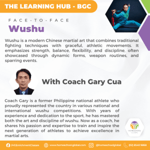 WUSHU (AGES 6-16) [BGC HUB]